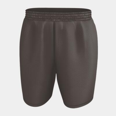Men's Mesh Shorts Thumbnail
