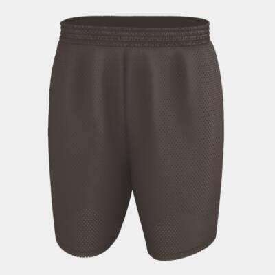 Men's Extreme Mesh Shorts Thumbnail